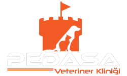 Pedasa Veteriner Kliniği