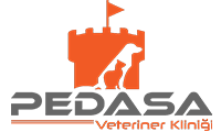 Pedasa Veteriner Kliniği